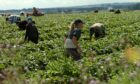 The service will provide support for seasonal farm workers from Ukraine.