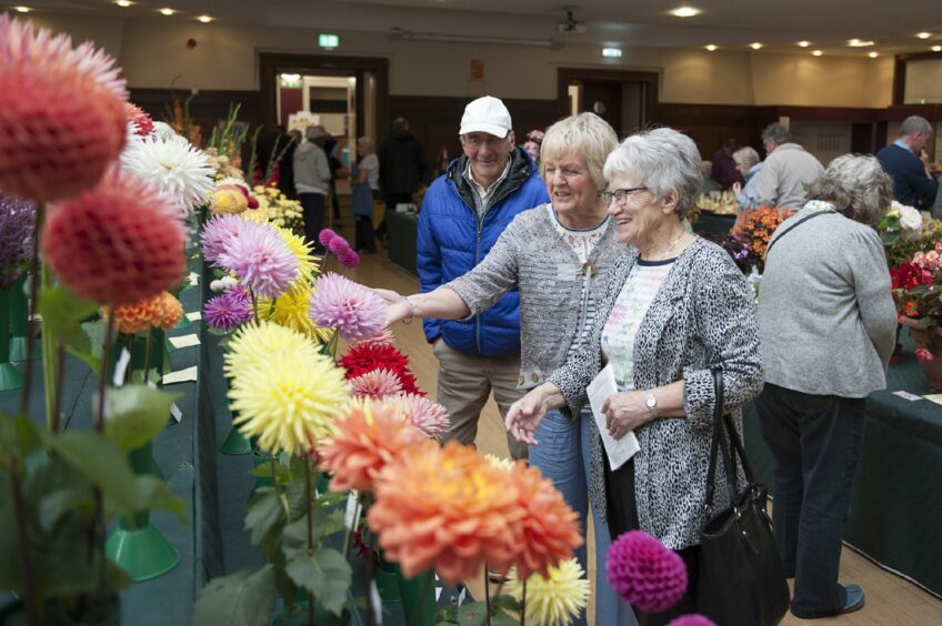Visitors at the 2019 Forfar Flower Show in Forfar's Reid Hall.