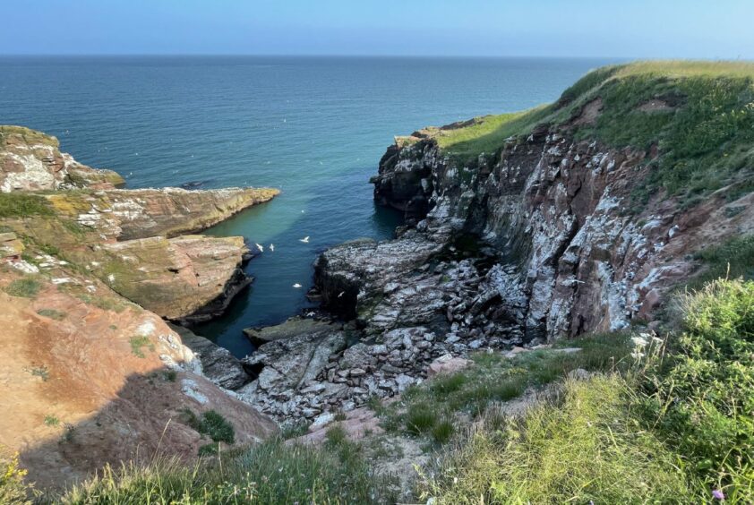 The cliffs at Arbroath descending down into the North Sea. 