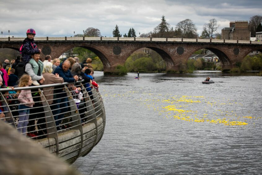 Spectators line the river bank and the 2,000 ducks near the finish line. Pic: Steve Brown/DCT Media.