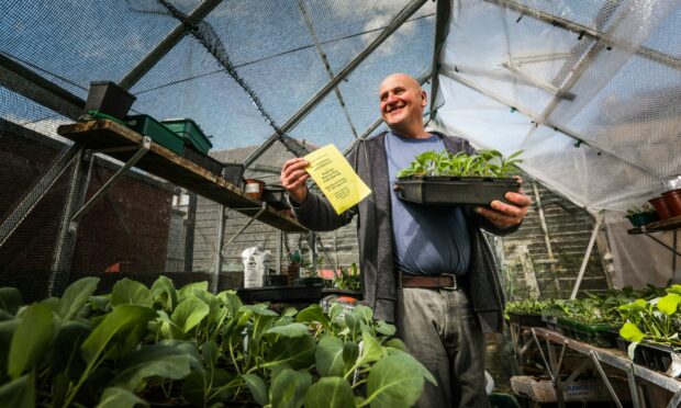 Forfar Horticultural Society chairman Dave Nelson in his greenhouse.