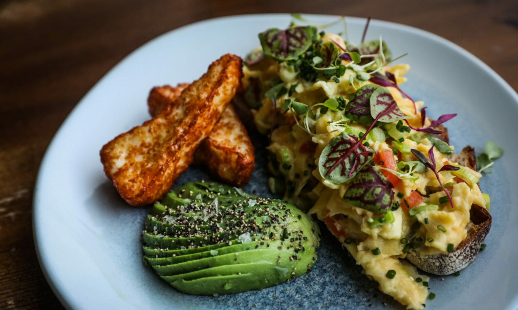 6 dogfriendly restaurants to visit in Dundee