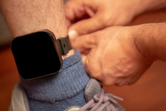 Electronic ankle tag