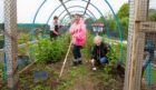 Anne-Marie Blackwood, Laura Tierney and Gillis McLean at the Carnoustie community garden. Picture: Paul Reid.