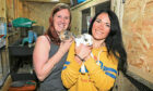 Caroline Stark, who runs Cavy Capers,  and Gayle with two cute baby rabbits.
