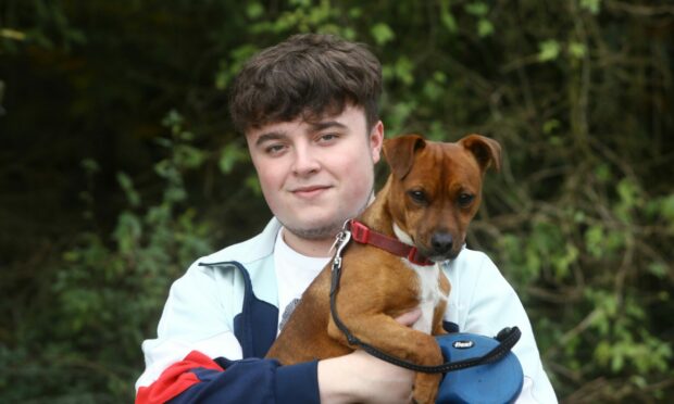 Ally McLaren with dog Harvey who was allegedly stolen.