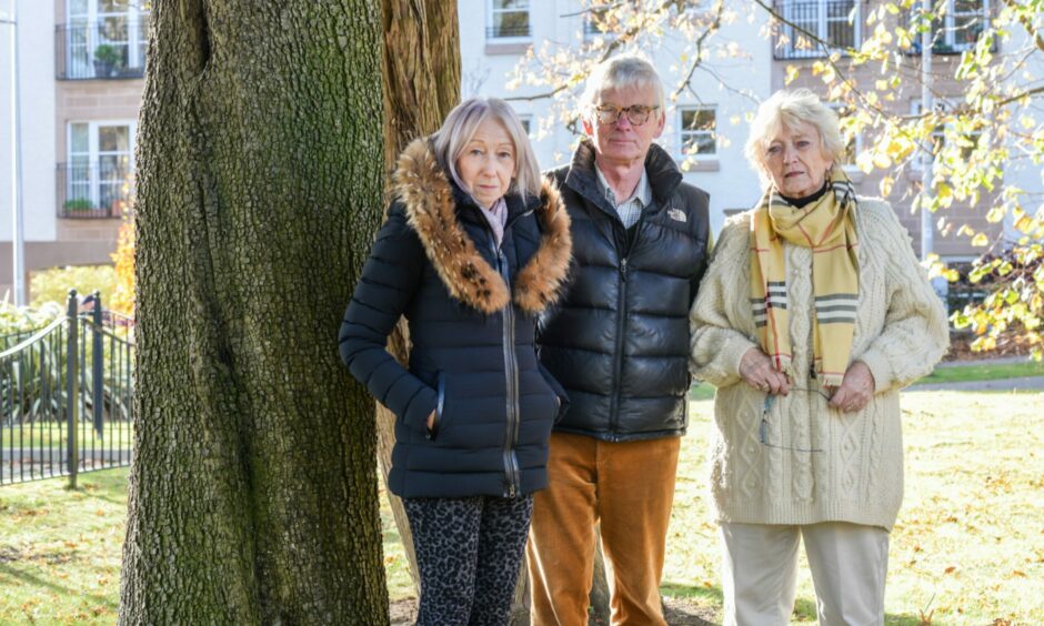 Sandra, left, with residents' group members Eric Lewis and Joyce Izatt, has previously spoken out against the removal of trees.