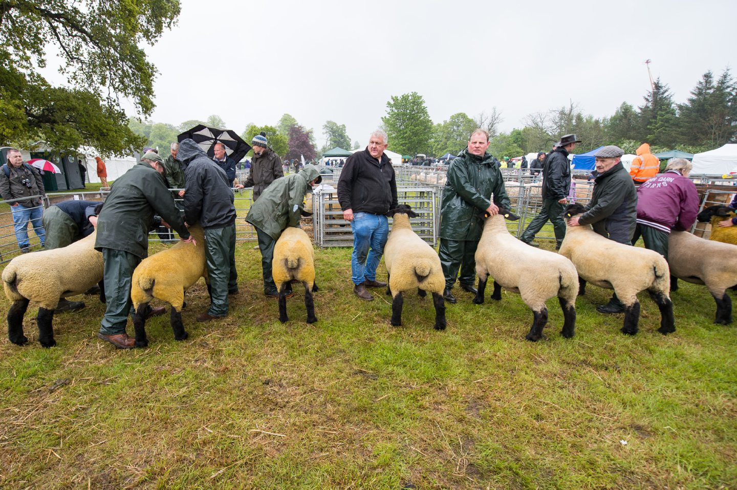The Fife Show What to expect from Saturday's 200th anniversary event