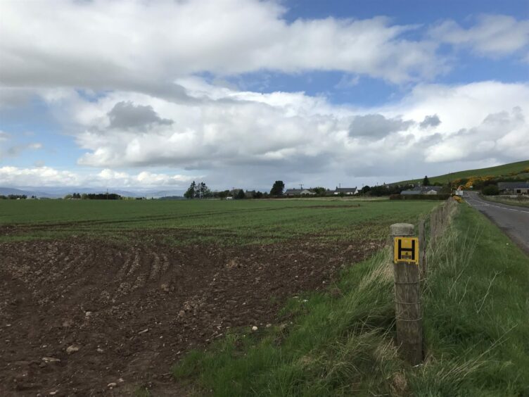 solar farm