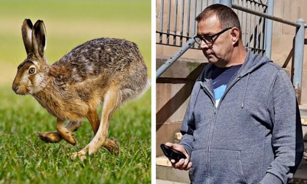 Hare courser was ‘trying to relive his youth’ in Angus, court told