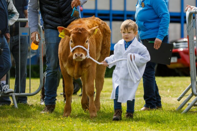 IN PICTURES Thousands enjoy the outdoors at the 200th Fife Show