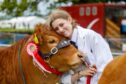 The 200th Fife Show. It's one of Scotland's most popular agricultural show and can attract up to 8,000 people. No 67 champion Shelby Beth Thomson.