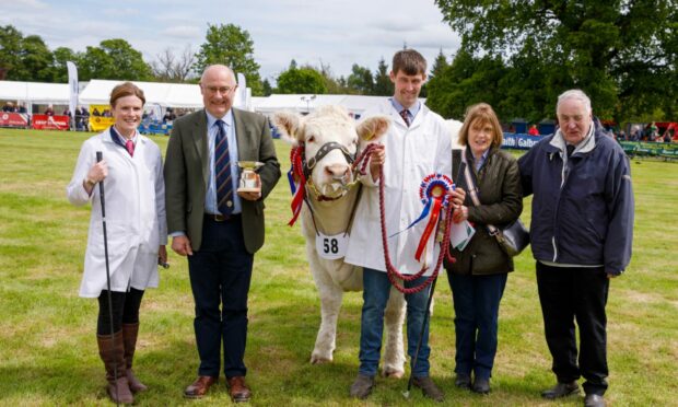 SILVERWARE:  Fife Show's supreme champion was the Charolais heifer shown by Brailes Livestock.