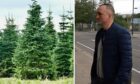 Christmas tree worker Petrica Obreja faces prison for having the CS gas.
