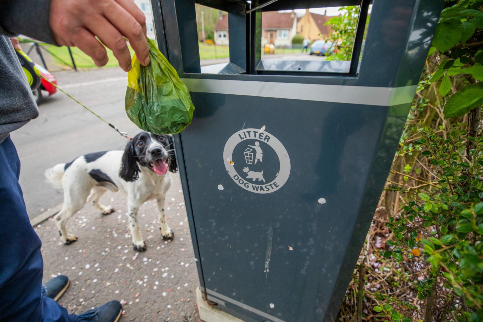 Our survey reveals P&K Council plans to drop dedicated dog poo bins