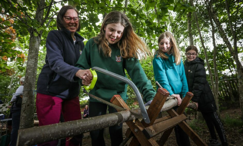 Robert Douglas Memorial Primary School pupils were the first in Scotland to gain a Royal Forestry Society accredited award. Pictures and video by Mhairi Edwards/DCT Media.