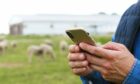The free app is now available for use by sheep farmers.