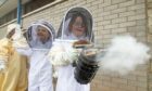 Youngsters enjoy beekeeping lesson at Fife primary school.