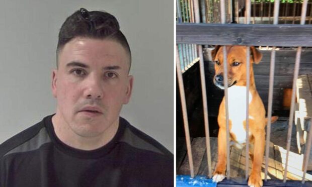 Clifford Hodgkins and stolen dog Harvey.