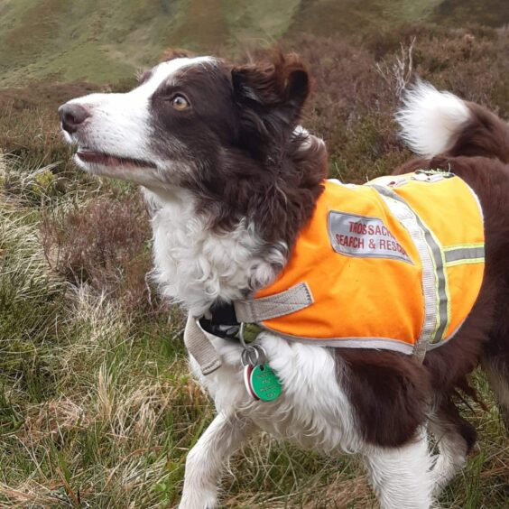 Clova is also a trained search and rescue dog.
