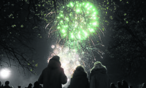 Fireworks cancelled in Dundee by councillors.
