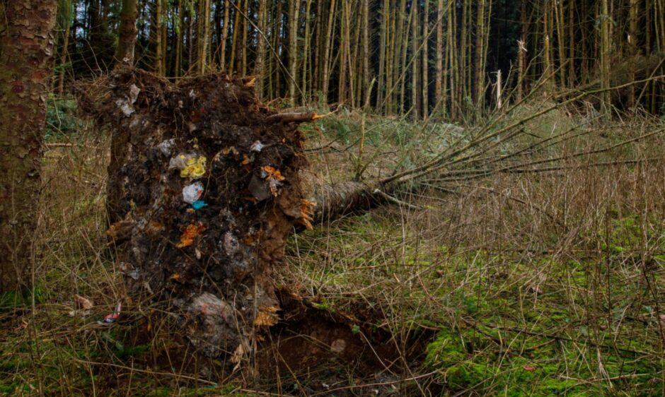 A tree blown over during a storm unearthed an old landfill site near Doune.