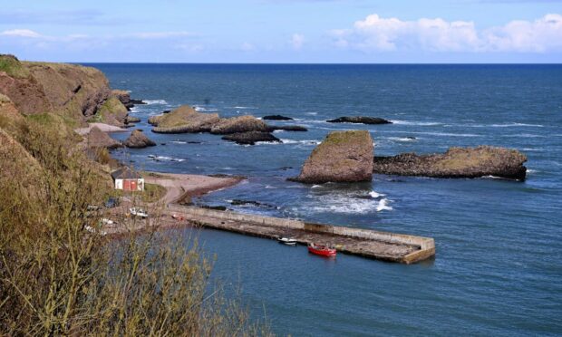 The harbour at Catterline.