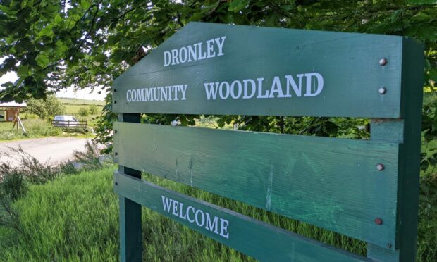Dronley Woods, Dundee