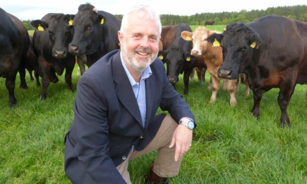 Perth Show chairman Mark Mitchell