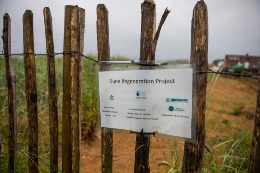 A sign reading "Dune regeneration project"