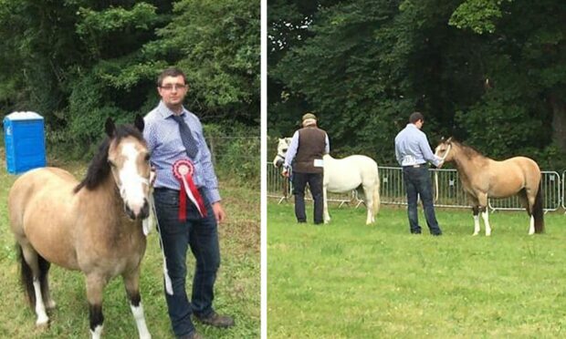 Two ponies worth £3,000 each were stolen in Fife.