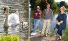 Jock the swan with his cygnet and members of Keptie Friends Bob Middleton, Scott Shortridge and Jean Stewart.