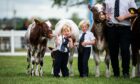 The Royal Highland Show returns for its 200th Anniversary. Picture by Wullie Marr / DC Thomson