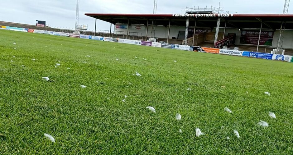 Bird feathers litter the Arbroath pitch - a sight not uncommon on the Angus coast.