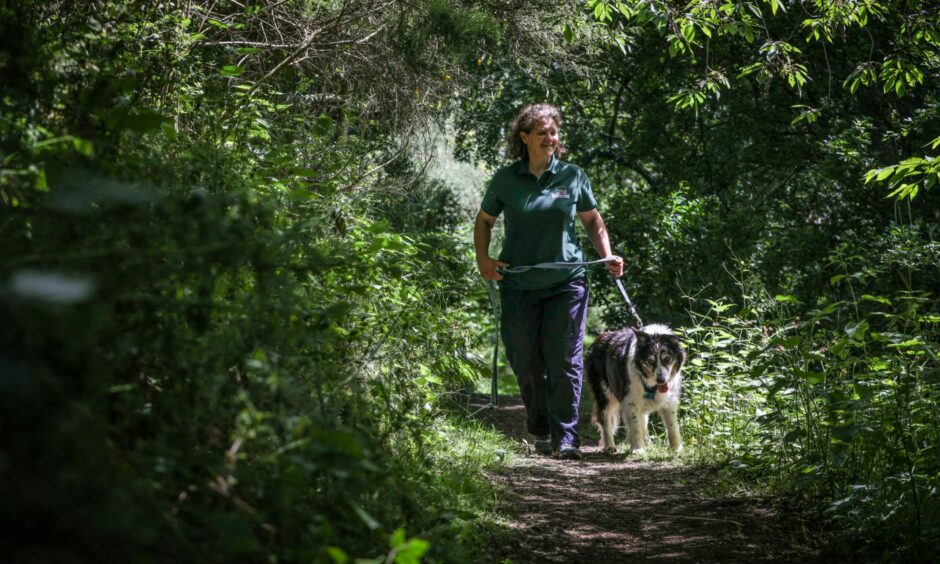 Daniéle Muir on site with her collie Corrie.