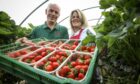 John and Cameron Laird, the couple who own Cairnie Fruit Farm.