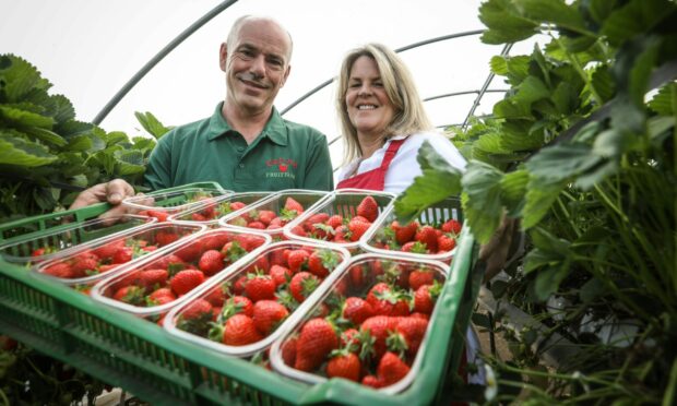 Fife fruit farm owners’ growing ambition to pull in 100,000 visitors