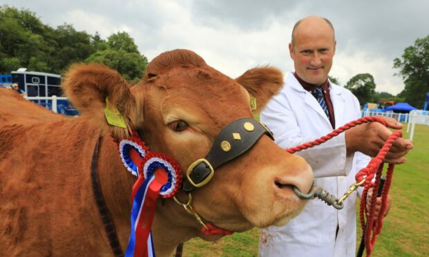 CHAMPION MATERIAL: Grahams Ruby, brought out by Richard Rettie, won the show's supreme award..