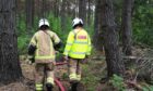 Fire crews attending to the wild fire in Devilla Forest.