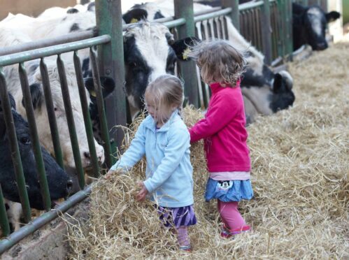 More than 250 farms across the UK took part in this year's Open Farm Sunday.