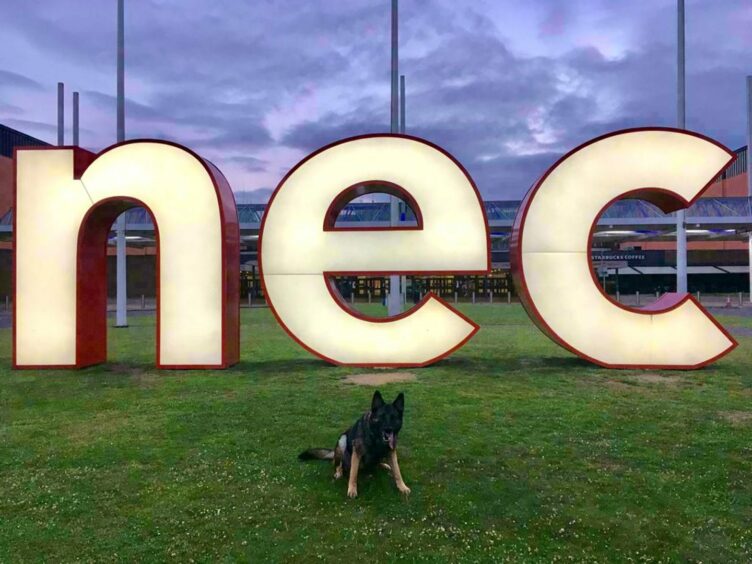 Quiz, a protection dog from a private security firm in the UK, poses in front of NEC Birmingham