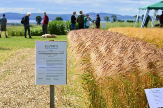 Arable Scotland took place at Balruddery Farm on the outskirts of Dundee.