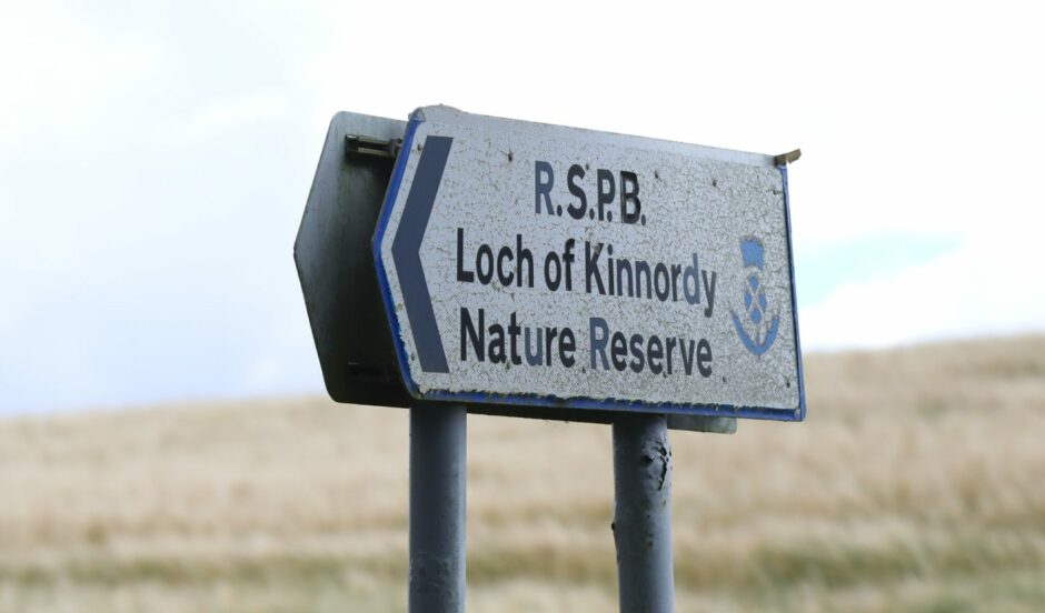 Loch of Kinnordy Nature Reserve.
