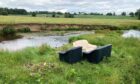 Councillors have spoken out against fly-tipping after sofas were dumped next to the Dighty Burn in Broughty Ferry.