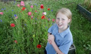Pupils' tour of Craigclowan school biodiversity trail.