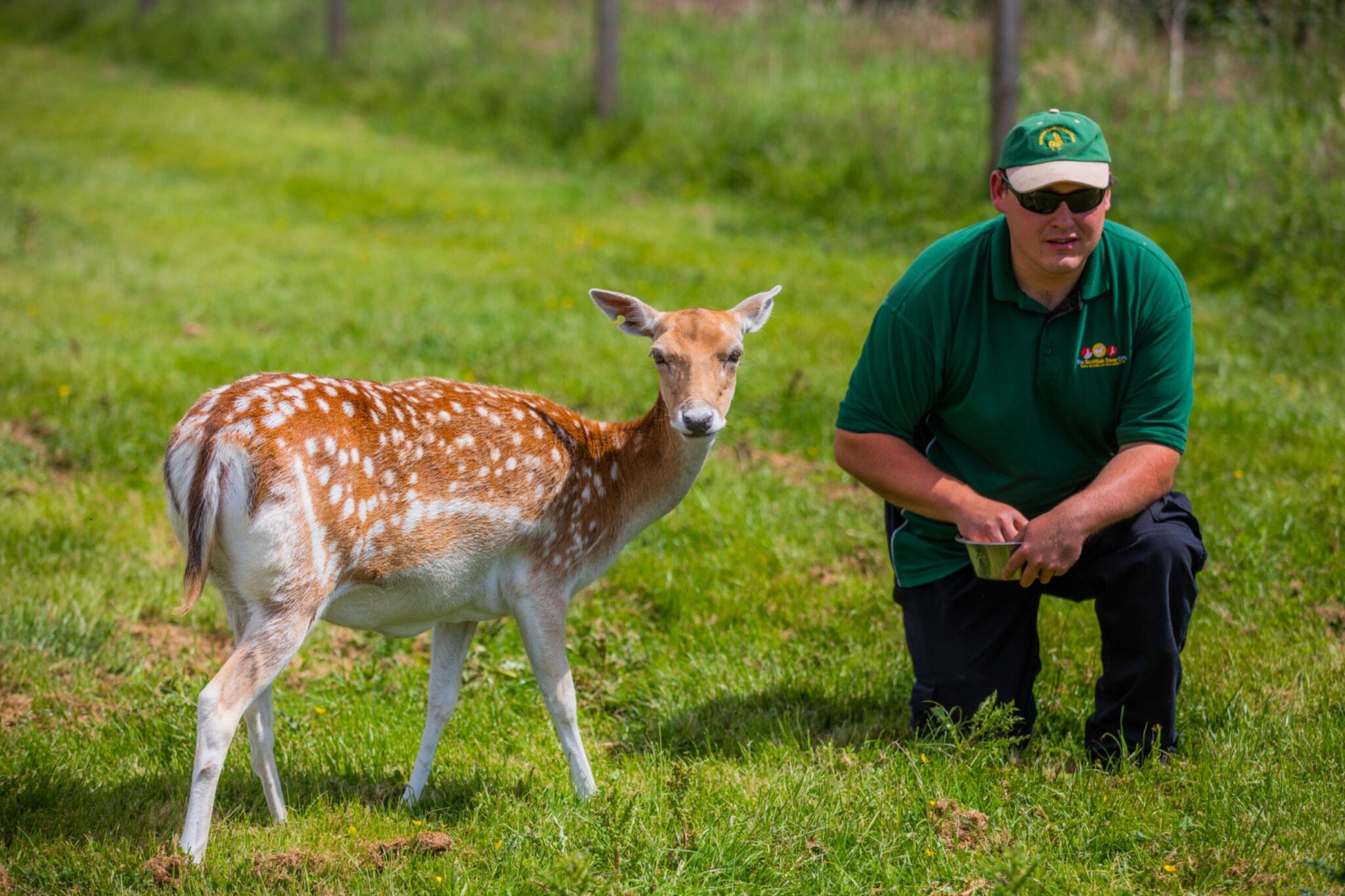 New Fife 191 road trip shows region's most Instagrammable places