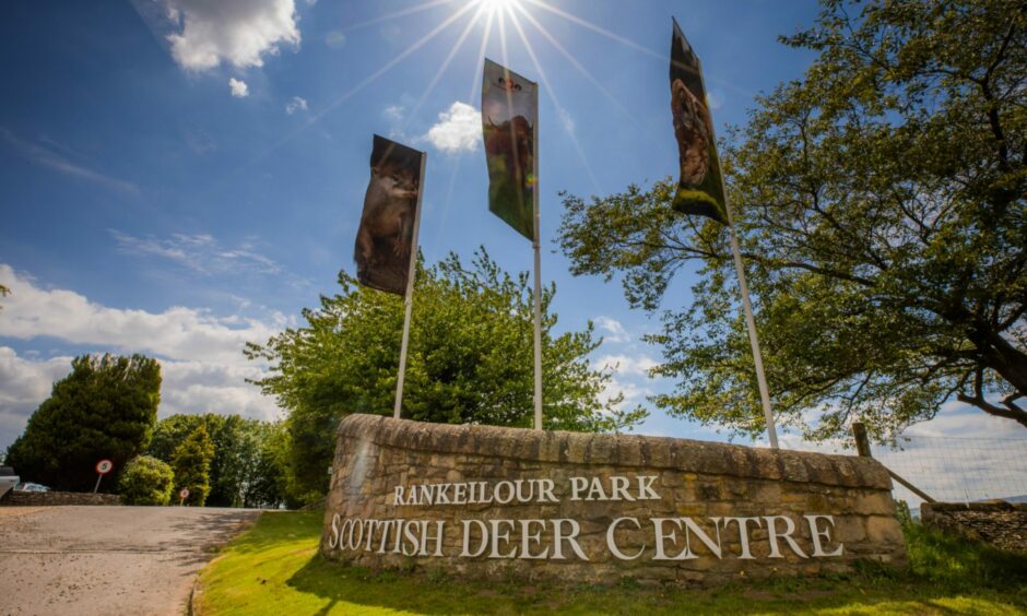 The Scottish Deer Centre and Wildlife Park
