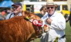 Wilson Peters is all smiles after winning the cattle interbreed championship.