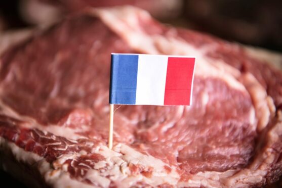 Meat terms, such as steak, will only be permitted on meat products in France.