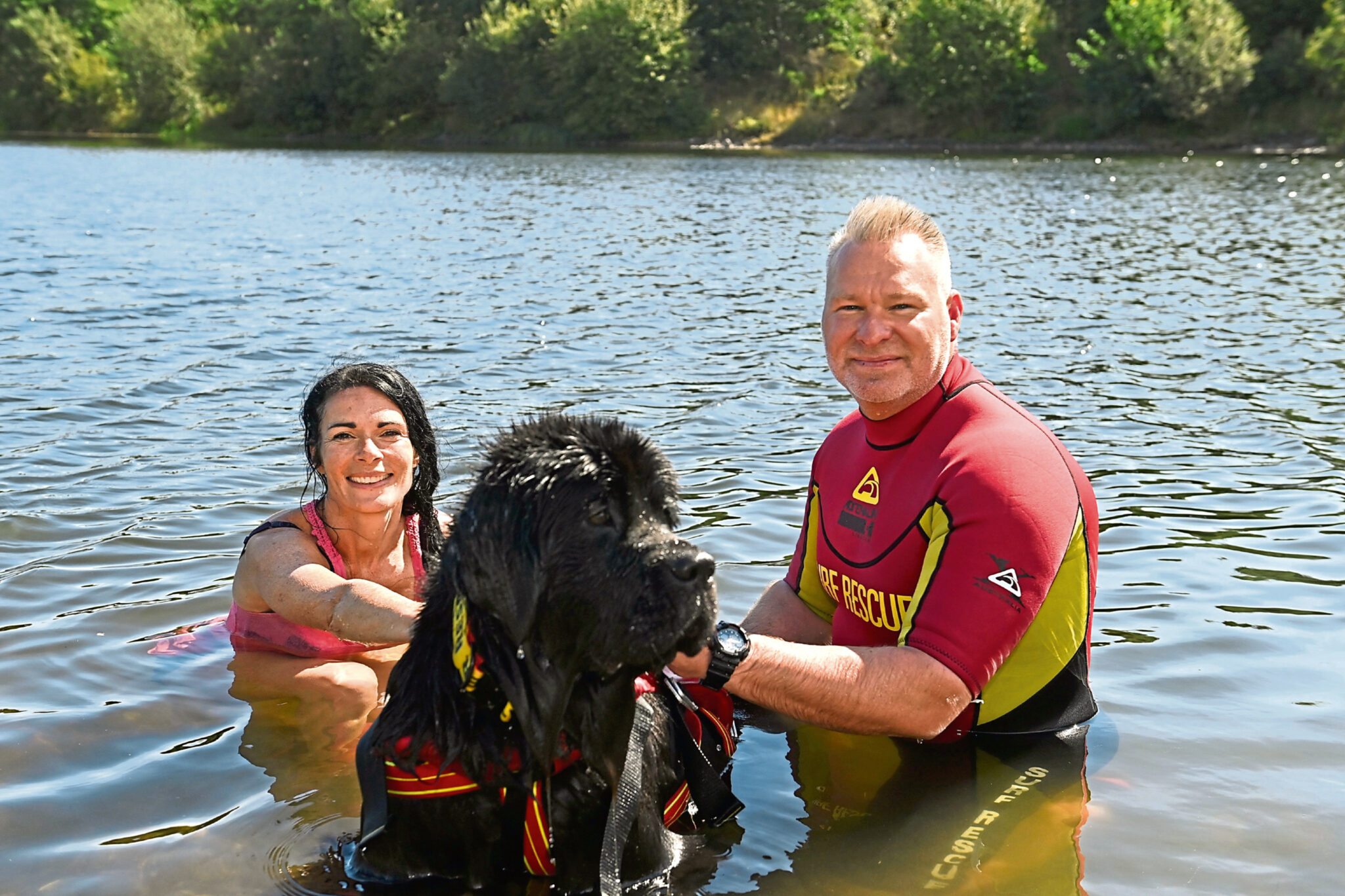 WATCH Newfoundland puppy Cindy 'saves' writer Gayle during water